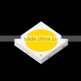 CE ROHS White 3030 1w SMD led chip