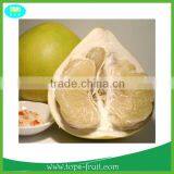 Thin Skin Sweet White Hoeny Pomelo thumbnail-1