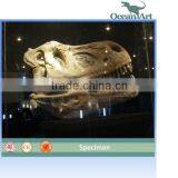 Theme Park Dinosaur Skull thumbnail-1