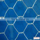 Lowest Chicken Wire Mesh Roll ISO Factory Supply