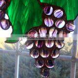 Flat Glass Beads Glass Gem Corn Seeds for Sale thumbnail-1