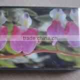 Plastic 4 Ports USB Hub