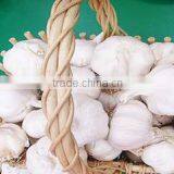Hot Sale 2016 Fresh Chinese Normal White Garlic thumbnail-3