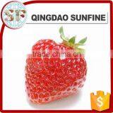 Preserved Import Dried Strawberry thumbnail-6