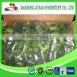 High Quality and Lowest Price Iqf Broccoli Frozen Vegetables