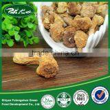Dried Matsutake Mushroom High Quality thumbnail-5