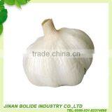 China Fresh Normal White Garlic Can Provide thumbnail-3