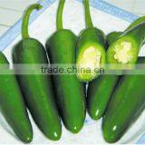 Small Hot Pepper/Chilli Seed Bullet No.2 thumbnail-1
