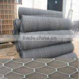 Aviary Wire Mesh in Roll Factory Direct Supply
