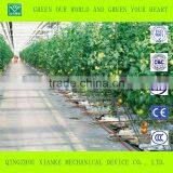 Good Daylight and UV-resistance Vegetable/fruit/flower Greenhouse thumbnail-2
