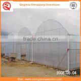 China Supplier Multi-span 7.2m Plastic PE Film Agriculture Greenhouse for Sale thumbnail-2