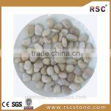 Natural White Pebble Stone Cheap Price for Wholesale thumbnail-1