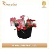 Non Woven Flower Grow Bag, Garden Fabric Flower Grow Bag thumbnail-2