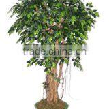 SJ2001022 Small Potted Foliage Banyan Tree Landscaping Decoraative Garden Tree thumbnail-5