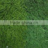 2017 Synthetic Outdoor Ground Decorative Turf thumbnail-1