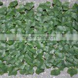 Plastic Boxwood Mat Cheap China Manufacture Decoration Plastic Topiary Grass thumbnail-2