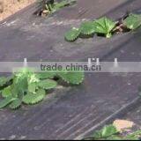 High Quality Agricultural Ground Cover thumbnail-5