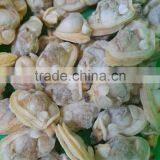 Liaoning Local Seafood Products Frozen Yellow Clam Meat thumbnail-2