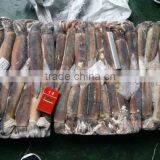 BQF Illex Argentina/argentinus Squid WR thumbnail-1