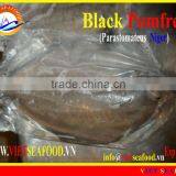 W/R FROZEN BLACK POMFRET thumbnail-1