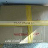 Frozen Bonito/Tuna Fish thumbnail-3