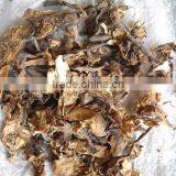 Nilofer Dry Extract thumbnail-1