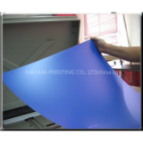 Ultra S-EP Thermal CTP Plate thumbnail-3