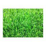 11000Dtex Natural Landscape Synthetic Grass Garden Playground Artificial Grass Weather Resistance thumbnail-1
