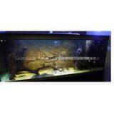 3D Dream Aquarium Background Wall thumbnail-1