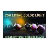 Auto Color Switching Baby Musical Night Light / LED Atmosphere Lamp With Touch Control Scroll Bar