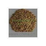 Granule Fat Powder thumbnail-1