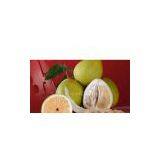 Fresh Honey Pomelo thumbnail-1