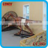 Mold of Dinossauro thumbnail-1