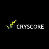 CRYSCORE OPTOELECTRONIC LIMITED