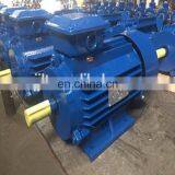 Three Phase 132kw 160kw 200kw 220kw 250kw 280kw 315kw Motor thumbnail-3