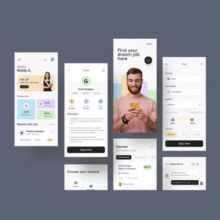Programming & Development of Job Portal Inventory Management System and Website Applications thumbnail-3