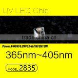 UVLED 1 watt uv led module 2835 with 365nm uv beads FACTORY price