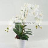 Best Selling Indoor Decoration Flower Stand /wholesale Artificial Fake Orchid Chinese Supplier thumbnail-1