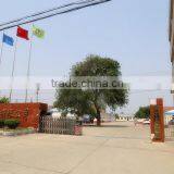 Ginger Powder Premium Factory Price thumbnail-5