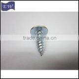 Good Quality!DIN7983 Self Tapping Screws for Plastic thumbnail-2