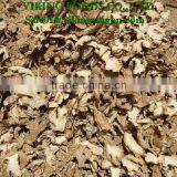DRIED GINGER _ GOOD QUALITY, BEST PRICE thumbnail-2