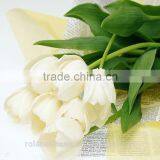 2016 High Quality Beautiful Cut White Tulip Flower From Kunming thumbnail-3