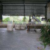 Corn Silage Meal for Poultry Feeding