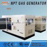AC Three Phase Output Type CHP Syngas Generator thumbnail-4