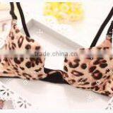 Latest Fashion Sexy Bra Girls Hot Sexy Bra Double Push up Bra thumbnail-1