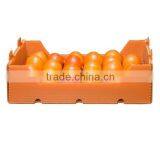 Collapsible Food Packaging Corflute Plastic Box