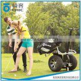 Cheap Electric Golf Carts