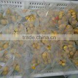 Peeled Chestnut Price Good Packing With Vacuum Importers From Overseas thumbnail-5