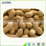 Chinese Peanut Kernel and Peanut Kernel for Material thumbnail-2