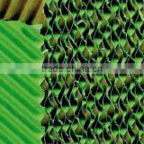 Film Lock Spring in Greenhouse thumbnail-1